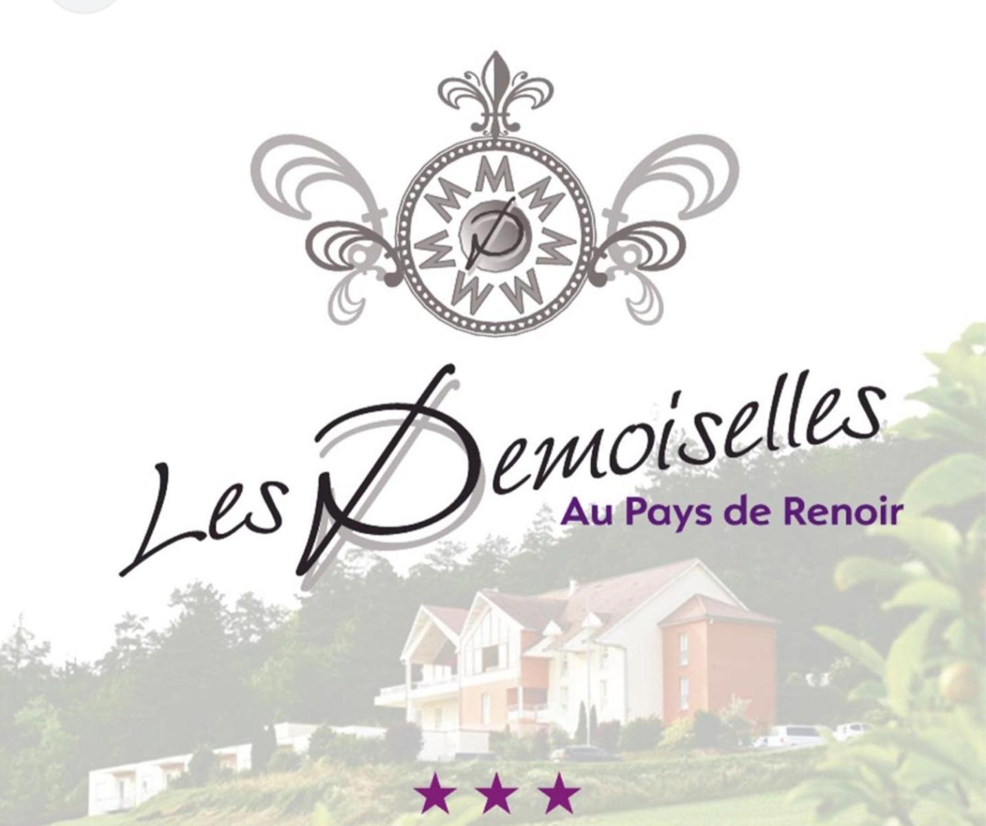 Hotel Les Demoiselles Essoyes Exterior photo